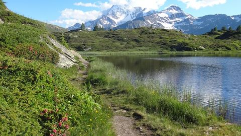 Швейцария ва Италияни боғловчи довонда самолёт қулади