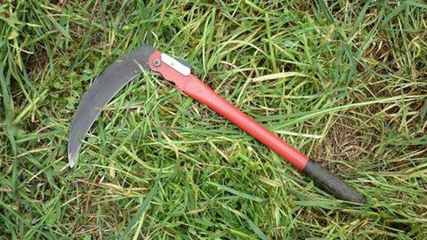 Qashqadaryolik erkak pochchasini o‘roq bilan jarohatladi