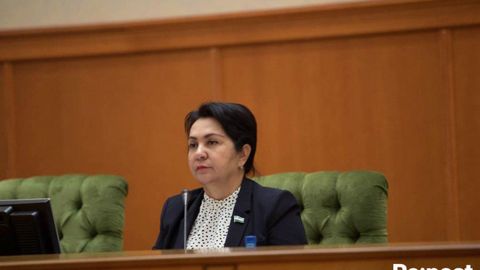 Tanzila Norboyeva senatorlarni amalga oshirishning aniq mexanizmi bo‘lmagan qonunlarni ma’qullamaslikka chaqirdi