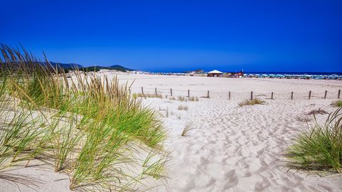 Italiyadagi plyajdan 40 kg qumni olib ketishga uringan turistlar qo‘lga olindi