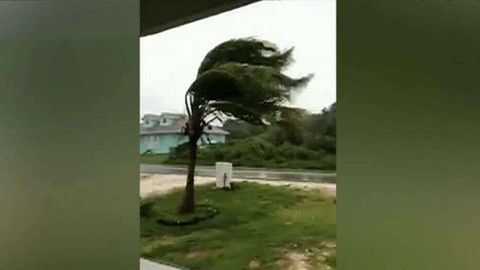 «Дориан» бўрони сабаб АҚШнинг учта штатида мажбурий эвакуация эълон қилинди