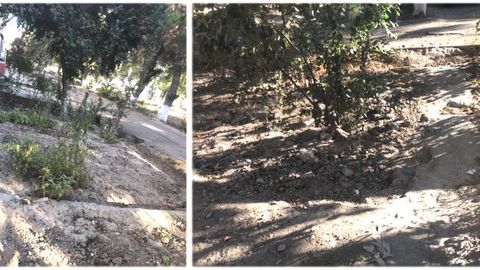 Бухорода Экология қўмитасига асоссиз мурожаат йўллаган фуқарога огоҳлантириш берилди