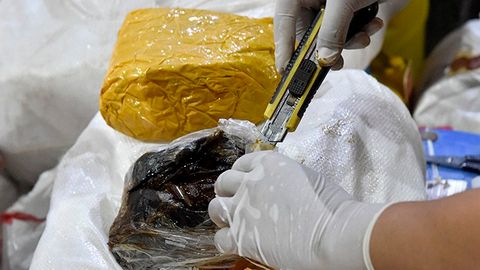 ДХХ Қирғизистондан олиб кирилган гиёҳванд моддаларни мусодара қилди