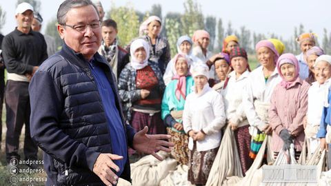 Андижон вилояти ҳам пахта режасини бажарди