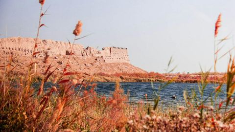 Xorazmda “Eng yaxshi ekologik turpaket ishlab chiqish tanlovi”ga start berildi