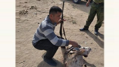 Navoiy viloyatida jayron ovchisi qo‘lga olindi