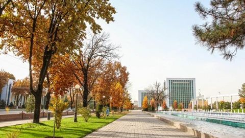 Ўзбекистонда ҳафта давомида қандай об-ҳаво кузатилади?