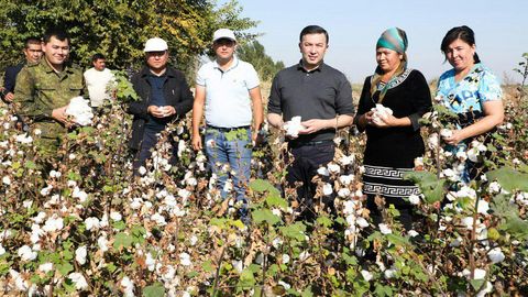 Davlat soliq qo‘mitasi raisi Behzod Musayev 235 nafar xodimi bilan paxta terimiga chiqdi