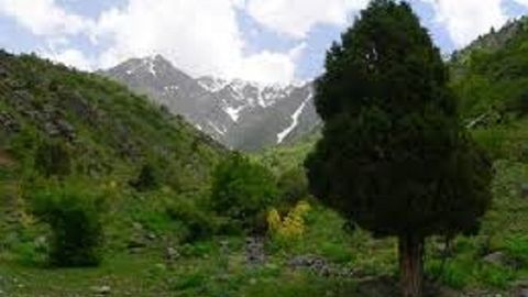 «Китоб давлат геологик қўриқхонаси»ни миллий геология табиат боғига айлантириш режалаштирилмоқда