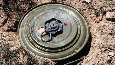 Minalarni izlab topuvchi GM-bakteriyalar yaratiladi