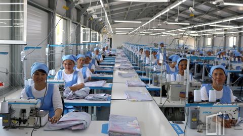 O‘zbekistonda ishsiz ayollar 1-dekabrgacha ishga joylashtiriladi