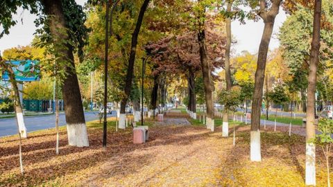 O‘zbekistonda 30-noyabr kuni havo quyoshli va iliq bo‘ladi