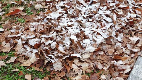 O‘zbekistonda 28-noyabr kuni havo sovuq va tumanli bo‘lishi kutilmoqda