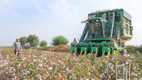 Бухоро вилояти пахта режасини ортиғи билан бажарди