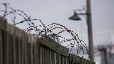 Toshkent viloyatidagi koloniyada jazo o‘tayotgan mahkum boshqa bir mahkumni 2 ming dollarga chuv tushirdi