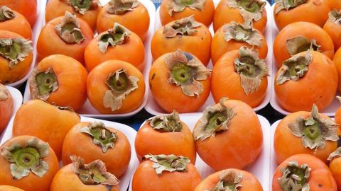 O‘zbekiston xurmo eksporti bo‘yicha dunyoning yetakchi uchligidagi o‘rnini yo‘qotdi