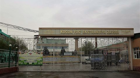 Kogonda ishchilar yog‘ zavodining devorini teshib, 12,5 mln so‘mlik mahsulotlarni o‘mardi