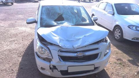 Сирдарёда Cobalt пиёдани уриб юборди. Жабрланувчи касалхонада вафот этган