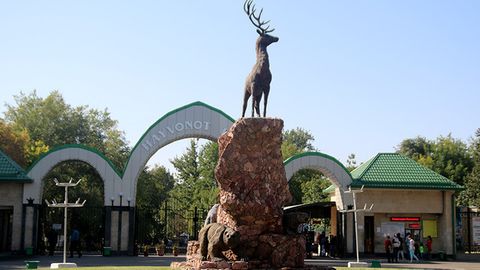 Тошкент ҳайвонот боғи бошқаруви хусусий компанияга берилади
