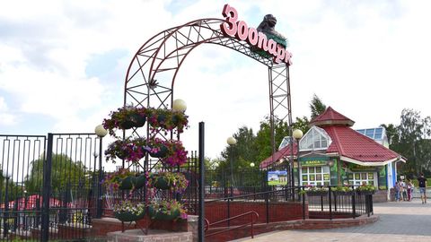 Minsk hayvonot bog‘iga Toshkentdan bir juft sher keltiriladi