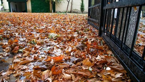 Ўзбекистоннинг айрим ҳудудларида 5 декабрь куни шамол туриб, ёғингарчилик бўлиши мумкин