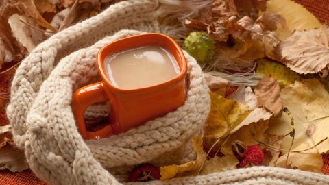 Sovuq havoda isinish uchun mazali yechim: Sut va seylon dolchini qo‘shilgan xushta’m ichimlik tayyorlang