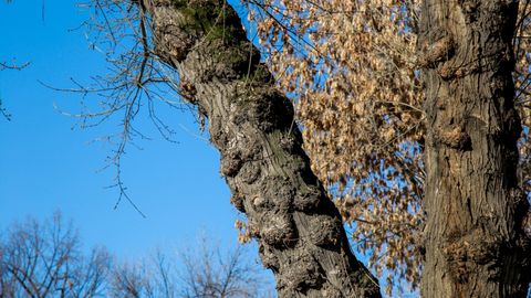 O‘zbekistonda dam olish kunlari ham ob-havo iliq bo‘ladi, ammo kelasi haftadan sovuq qaytadi