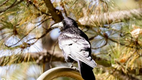 O‘zbekistonga Erondan juda iliq havo massalari kirib kelib, harorat 15 darajagacha ko‘tarilishi kutilmoqda