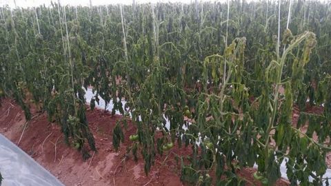 Самарқандда электр тармоқлари корхонасидан тадбиркорлар фойдасига 400 млн сўмдан ортиқ маблағ ундириб берилади