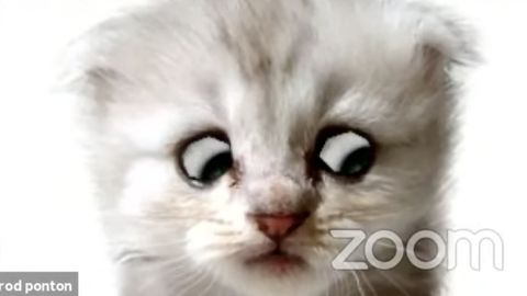 Rus porno onlayn qasam ichish