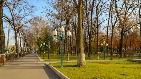 O‘zbekistonda 12-fevral kuni harorat 24 darajagacha iliq bo‘lishi kutilmoqda