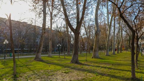 Ўзбекистонда дам олиш кунлари ҳарорат 25 даражагача кўтарилади