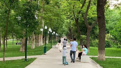 Toshkent aholisi “SUM” qarshisidagi bog‘ himoyasi yo‘lida imzo to‘plashni boshladi