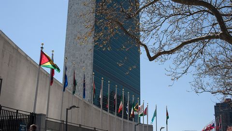 БМТ ҳокимият тепасидаги эркаклар ва аёллар улуши қачон тенглашишини маълум қилди