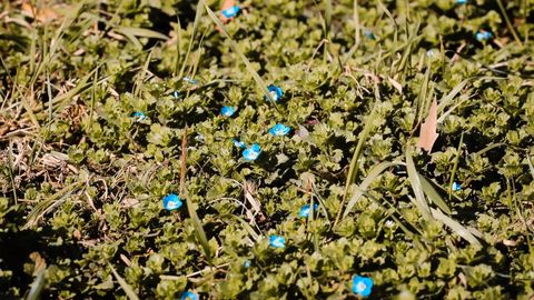 Ўзбекистонда 2 март куни 18 даражагача илиқ бўлади