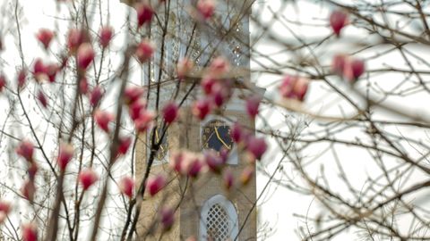 «Ўзгидромет» 6 март куни кутилаётган об-ҳаво маълумотини эълон қилди