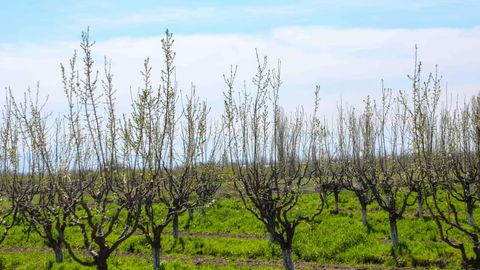O‘zbekistonda aholiga dehqonchilik uchun 1 gektargacha yer ijaraga beriladi
