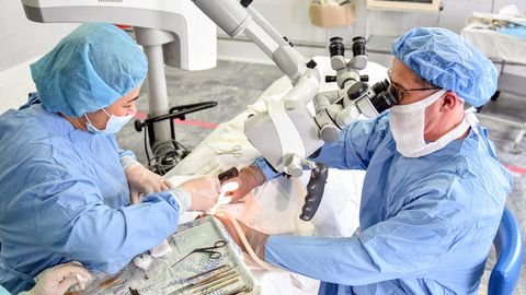 O‘zbekistonda organlar transplantatsiyasi uchun qonunchilik bazasi yaratiladi