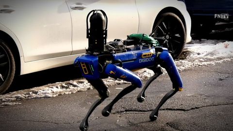 Nyu-York politsiyasi Boston Dynamics’ning robot-itidan foydalanishdan bosh tortdi