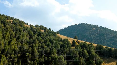 «Ўзгидромет» 13 апрель куни қандай об-ҳаво кузатилишини маълум қилди