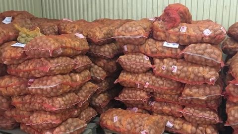 Andijonda kreditga olingan 149 tonna kartoshkani sotib, pulini talon-toroj qilgan shaxslar ushlandi