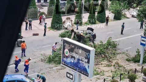 Toshkent markazida kuchli shamol oqibatida Malibu ustiga daraxt quladi. Haydovchi qiz jarohat olgani aytilmoqda