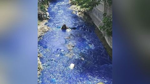 Samarqanddagi kollektordan binafsha rangli suv oqizildi. Holat yuzasidan izoh berildi