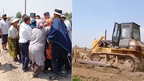 Qibrayda pishgan qulupnay dalasi buldozerda buzib tashlanayotgani aks etgan videoga izoh berildi