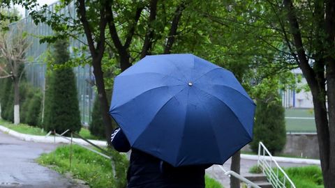 Yozning birinchi kuni Toshkent shahri va viloyatida yomg‘ir yog‘ishi kutilmoqda