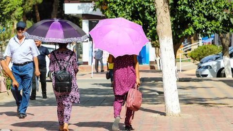 O‘zbekistonda dam olish kunlari anomal issiq ob-havo bo‘lishi davom etadi