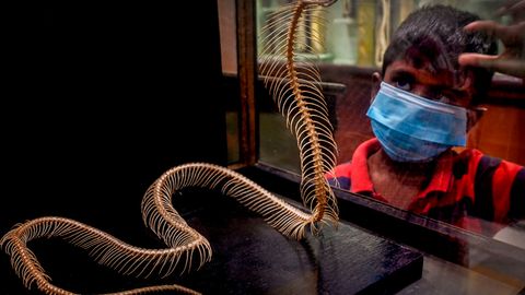 Rossiyada COVID-o‘limlar bo‘yicha kunlik rekord yangilandi, Turkiyaning 26 ta viloyatida “hindcha” shtamm tarqaldi. Koronaxabarlar