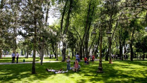 Ўзбекистонда 2 июнь куни ҳарорат 43 даражагача иссиқ бўлади