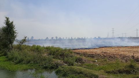 Toshkent viloyatida 129 gektar yer maydoni yonib ketdi