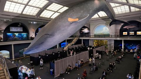 Нью-Йорк аҳолисига коронавирусга қарши эмланиш эвазига 100 доллардан тўлаш бошланади